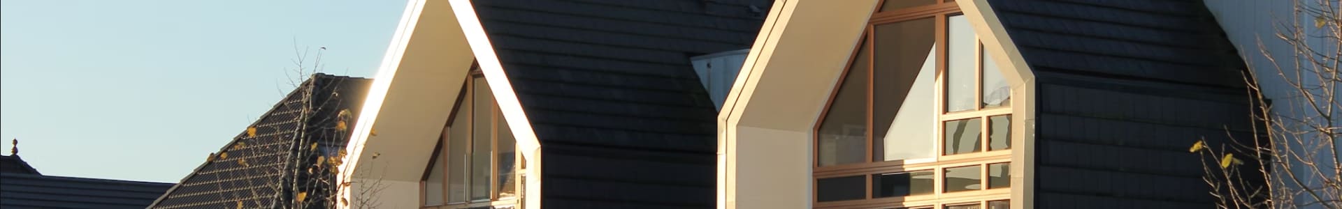 Explore Opulist Cities